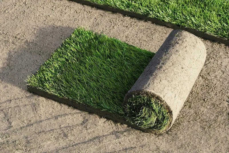 Jakie są koszty założenia trawnika z rolki? Sprawdź, ile musisz wydać!