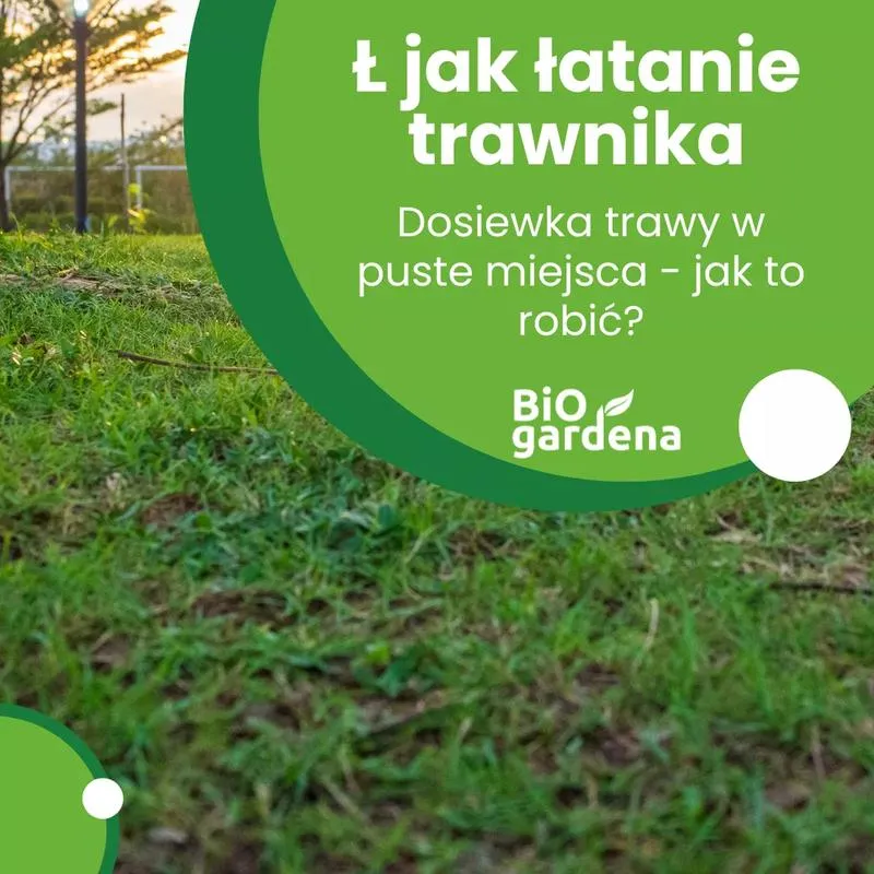 Diagnostyka stanu trawnika