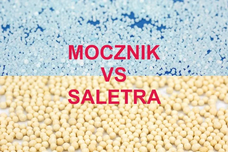 Efektywne stosowanie mocznika