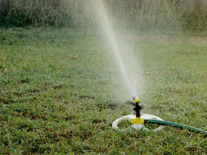 Jak rozpoznać potrzeby wodne trawnika