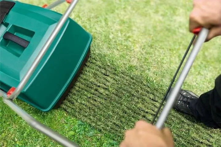 Jesienna pielęgnacja trawnika