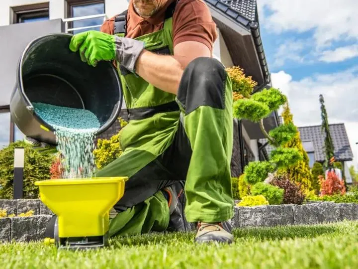 Nawożenie trawnika w czerwcu