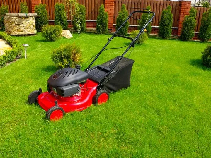 Przygotowanie trawnika do zimy