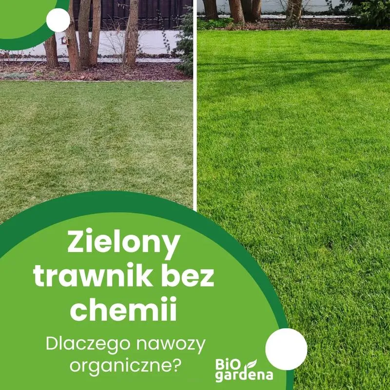 Składniki odżywcze w nawozach do trawnika