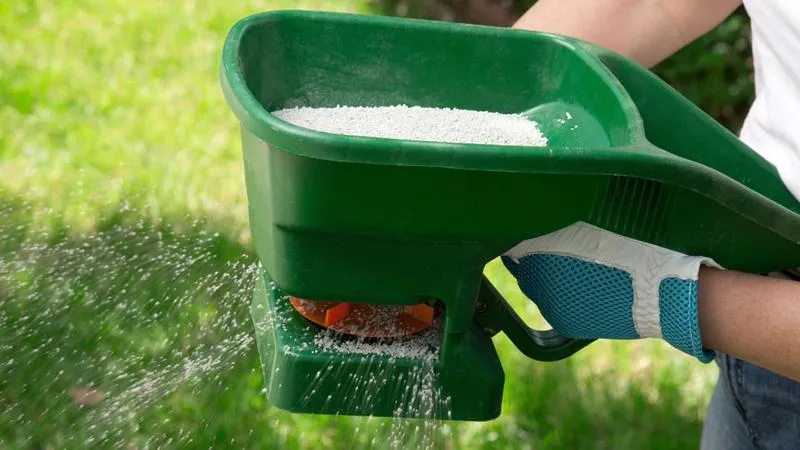 Terminy nawożenia trawnika