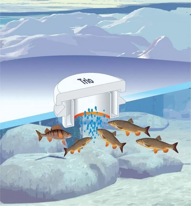 Zabezpieczenie oczka wodnego