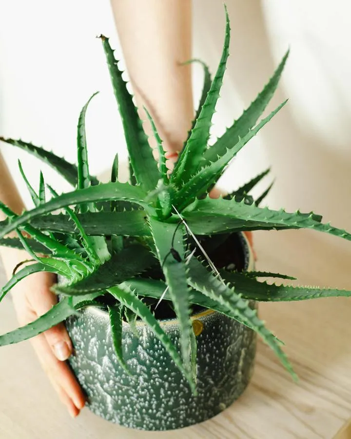 Zdrowy klimat w sypialni