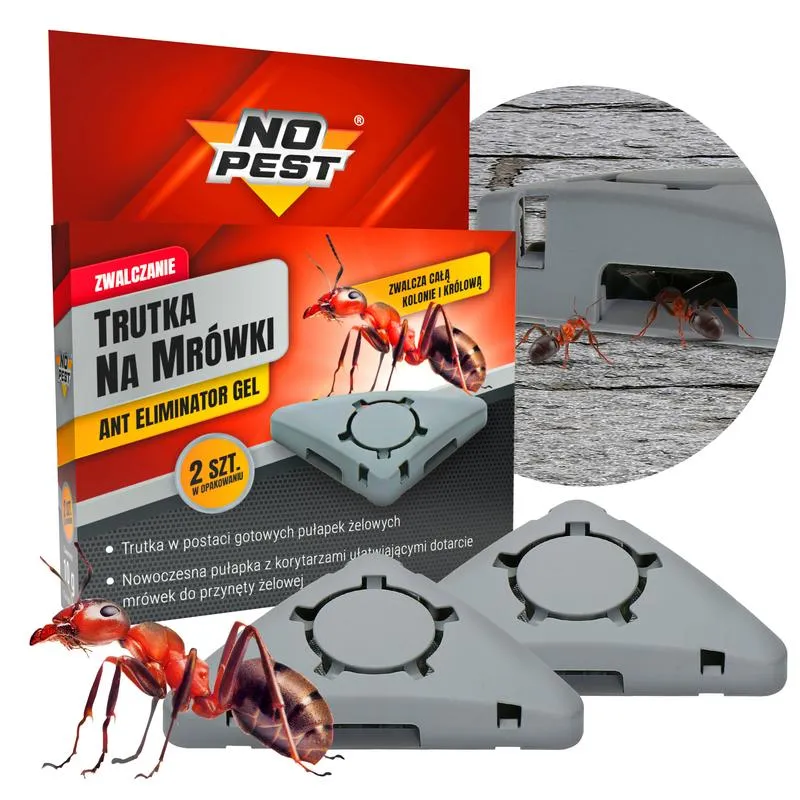 Zwalczanie mrówek pod kostką brukową